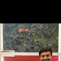 Shivendra Singh - photographer