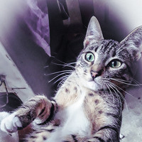 María Madrid - photographer