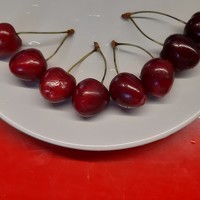 Виктория Тяхт - photographer