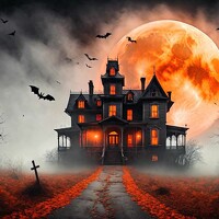 Jan Ouška - photographer