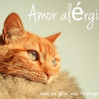 Cristian Sánchez - photographer