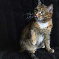 Игорь Смирнов - photographer