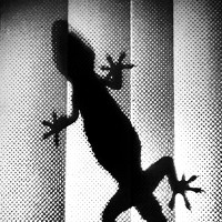 Ruslan Guliak - photographer