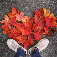 Татьяна Машина - photographer