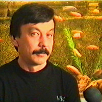 Ринат Файзуллин - photographer