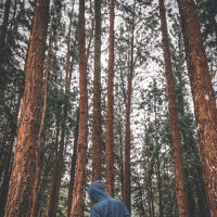 Irshad Alam - photographer