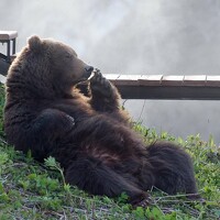 Максим Ушаков - photographer