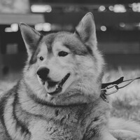 Ян Рюмин - photographer