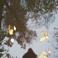 Екатерина Николаева - photographer