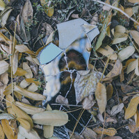 Андрей Скорняков - photographer