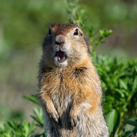 Александра Марчак - фотограф