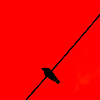 Александр Поданев - photographer