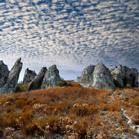 Дмитрий - photographer