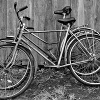 Alvydas Baltakis - фотограф