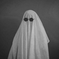 Sajad Alizadeh - photographer