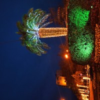 Дмитрий Хайбулин - photographer