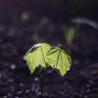 Александр Заруцкий - photographer