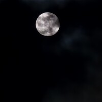 Заур Плиев - photographer