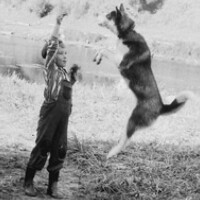 Igor Višnjakov - photographer