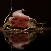 ljubov robaltsenko - photographer