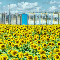 Игорь Лотыш - photographer