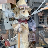 Irina Andrienko - photographer