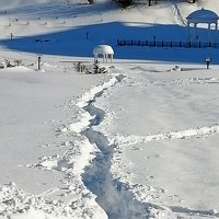 Татьяна Кунц - photographer