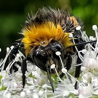 Olgafotoos - фотограф