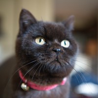 Alexander - фотограф