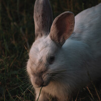 Владислав Рудков - photographer