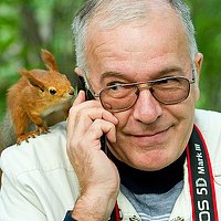 Юрий Сорокин - photographer