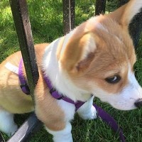 Владимир Спиридон - photographer