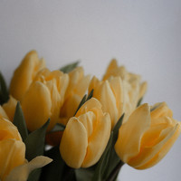 Елена Корнякова - photographer