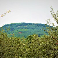 Марина Нуриджанян - фотограф