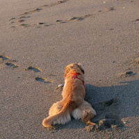 Екатерина Богер - photographer