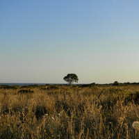 Barbara Pindo - photographer