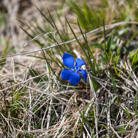 Мария Казакова - photographer