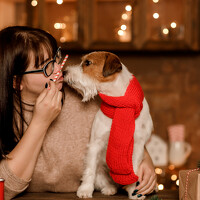 Виктория Сафонова - photographer