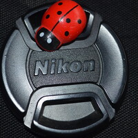 Suzana Cakciri - photographer