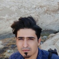 Ali goreishi - photographer