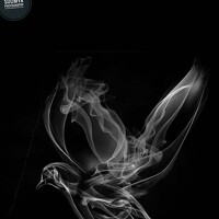 Soumyadeep mondal - photographer