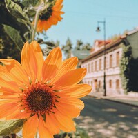 Svetlana Karmova - photographer