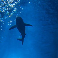 Василий Вараксин - photographer