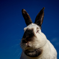 Сергей (Bekr) - photographer