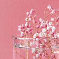 Кристина Кораблина - photographer