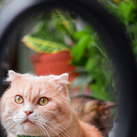 Ольга Ланец - photographer