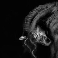 Любовь Похабова - photographer