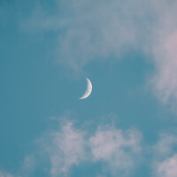 Chau Nguyen - photographer