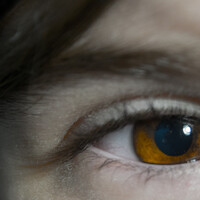 Dragan Trosic - photographer