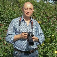 Михаил Измайлов - photographer